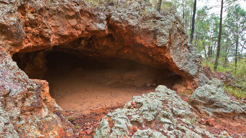 Pilliga National Park - Gold Coast 4U 1