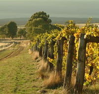 Captains Creek Organic Wines - 1 Gold Coast