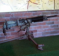Woodpecker Gun - Accommodation Gold Coast