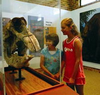 Australian Museum Diprotodon Exhibition - Accommodation Gold Coast