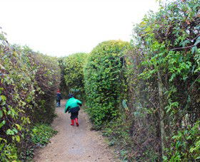 The Tangled Maze & Mistydowns Nursery - 1 Gold Coast 1