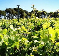 Basalt Wines - Accommodation Gold Coast