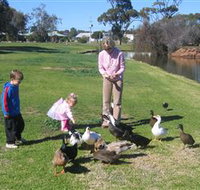 Roy Little Park Merredin - Accommodation Gold Coast