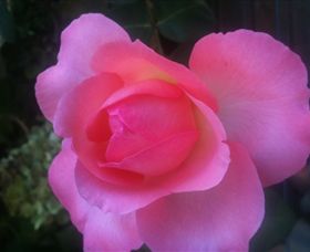 Abandon Stress Mobile Massage - Accommodation Gold Coast 2