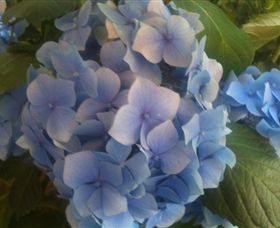 Abandon Stress Mobile Massage - Accommodation Gold Coast 3