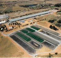 Co-operative Bulk Handling CBH Wheat Storage and Transfer Depot - Accommodation Gold Coast