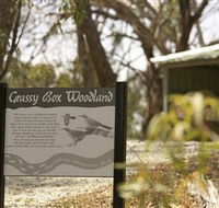 Kindra Forest - Gold Coast 4U
