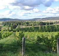 Sassy Wines - Accommodation Gold Coast