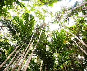 Bushwalking On Keswick Island - Accommodation Gold Coast 1