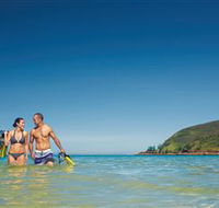 Snorkelling on Keswick Island - Accommodation Gold Coast