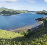 The Cremer Shipwreck Dive Site - Keswick Island - Accommodation Gold Coast