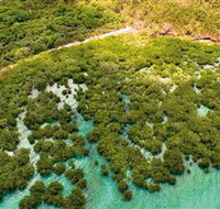 The Singapore Shipwreck Dive Site - Keswick Island - Accommodation Gold Coast