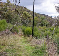 Lynchs loop trail - Accommodation Gold Coast