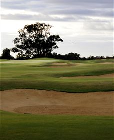 Black Bull Golf Club - Accommodation Gold Coast 0