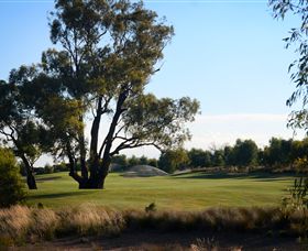 Black Bull Golf Club - Accommodation Gold Coast 2