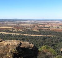 Basin Gully to Eualdrie lookout track - Accommodation Gold Coast