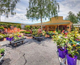 Springhill Nursery - Accommodation Gold Coast 2