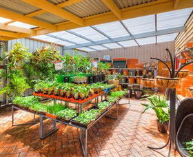 Springhill Nursery - Accommodation Gold Coast 3