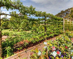 Springhill Nursery - Accommodation Gold Coast 5