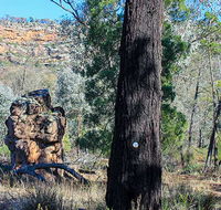 Eualdrie walking track - Accommodation Gold Coast
