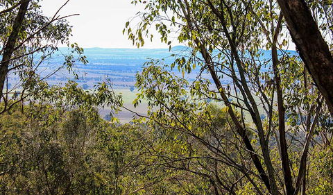 Eualdrie Walking Track - 1 Gold Coast 2