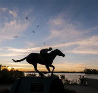 Black Caviar Statue - Accommodation Gold Coast