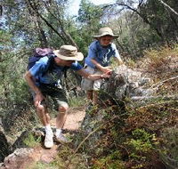 Mount Arthur Reserve - Accommodation Gold Coast