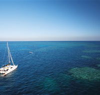 Bait Reef and Garys Lagoon Dive Site - Accommodation Gold Coast