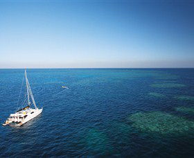 Bait Reef And Garys Lagoon Dive Site - Accommodation Gold Coast 0