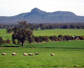 The Rock Nature Reserve - 1 Gold Coast 0