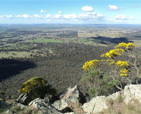 The Rock Nature Reserve - 1 Gold Coast 4