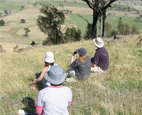 The Rock Nature Reserve - 1 Gold Coast 2