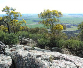 The Rock Nature Reserve - 1 Gold Coast 6