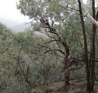 Mount Murga walking track - Accommodation Gold Coast