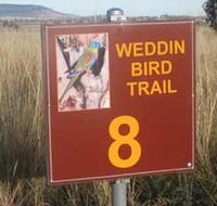 Weddin Bird Trails - Accommodation Gold Coast