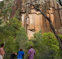 Sawn Rocks walking track - Accommodation Gold Coast
