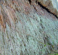 The Rock Nature Reserve - Kengal Aboriginal Place - 1 Gold Coast