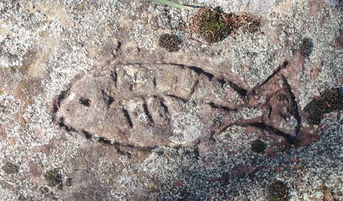 Terry Hie Hie Aboriginal Area - Accommodation Gold Coast 3