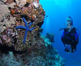 Lighthouse Bommie Dive Site - 1 Gold Coast 0