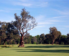 Corowa Golf Club - Accommodation Gold Coast 5