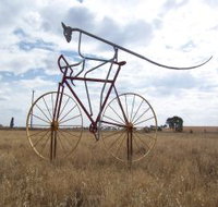 Animals on Bikes - Accommodation Gold Coast