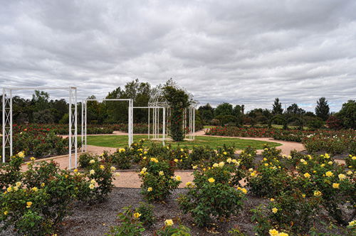 Buronga NSW Gold Coast 4U