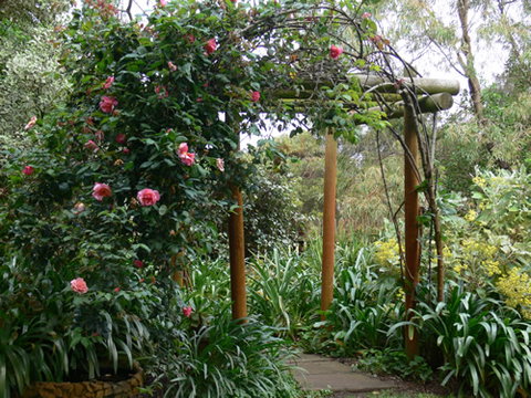 Timandra By The Sea - Accommodation Gold Coast 9