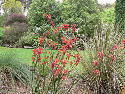 Timandra By The Sea - Accommodation Gold Coast 11