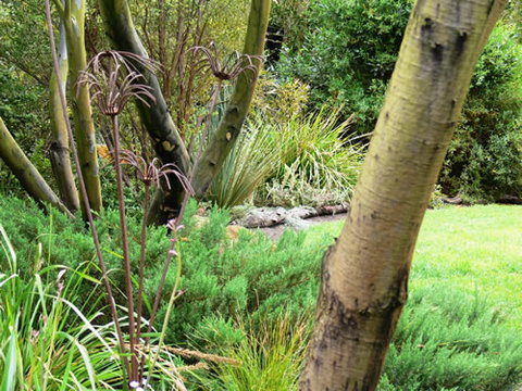 Timandra By The Sea - Accommodation Gold Coast 12