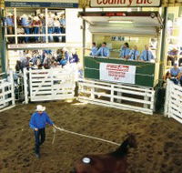 Gracemere Exhibition Complex - Accommodation Gold Coast