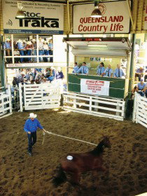 Gracemere Exhibition Complex - Accommodation Gold Coast 0