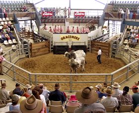 Gracemere Exhibition Complex - Accommodation Gold Coast 1