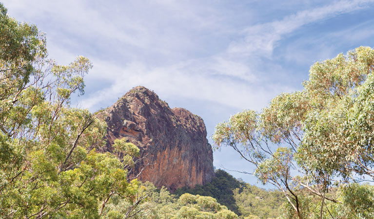 Bullawa Creek NSW Gold Coast 4U