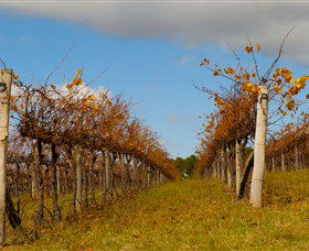 Charles Sturt University Winery Wagga Wagga - Accommodation Gold Coast 3